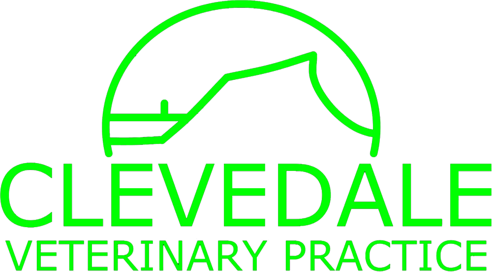 Visit Clevedale Veterinary Practice home page