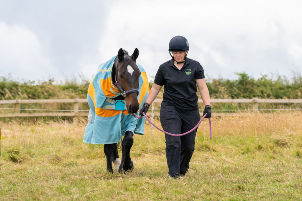 Clevedale Veterinary Practice - Equine (Web) 071