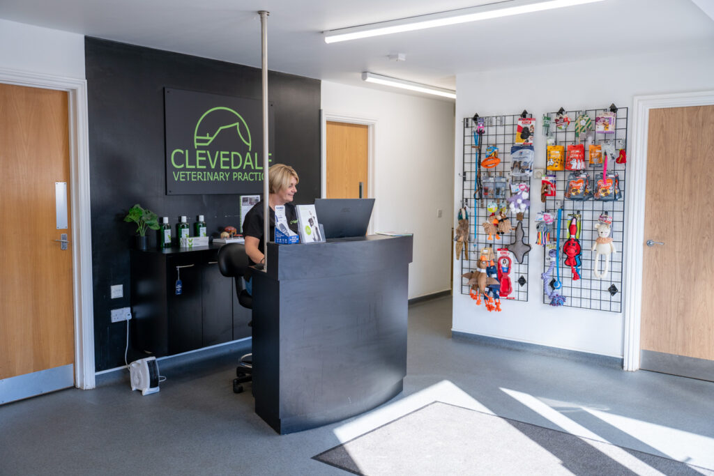 Clevedale Veterinary Practice - Small-Animal (Web) 101