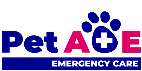 MASTER_Pet A&E_Pet A&E v3 (1)