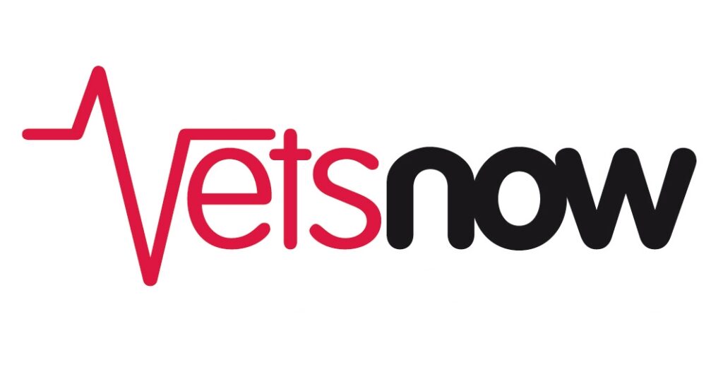 VN_Group_logo (1)